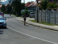 Rajecký maratón 2010 - 97